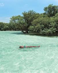 Um refúgio paradisíaco na Ilha de&nbsp;Maré